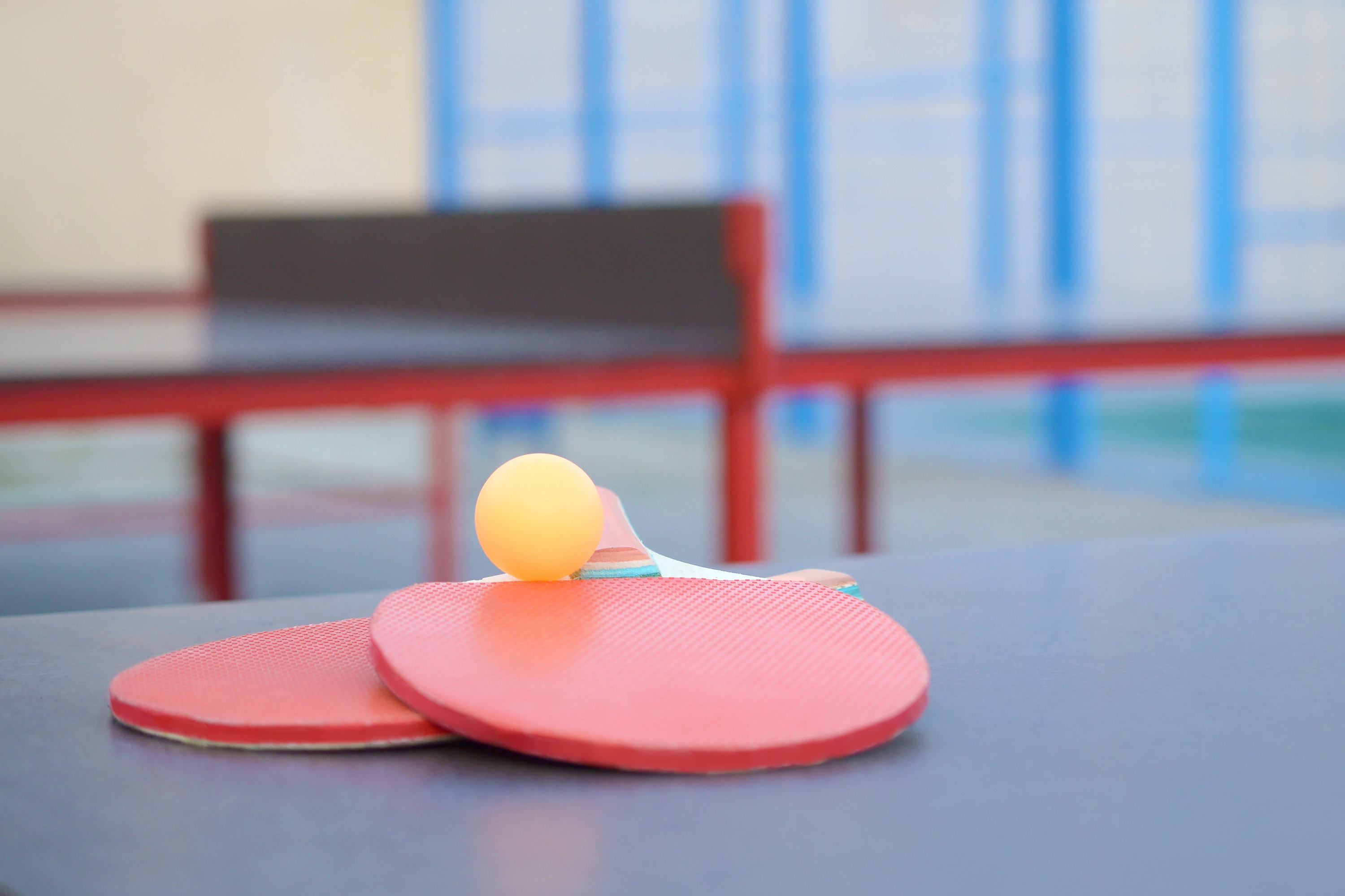 pingpong cenik